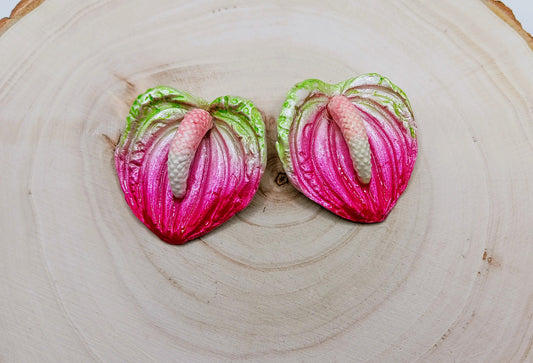 Anthurium Lily (Pink/Green White)