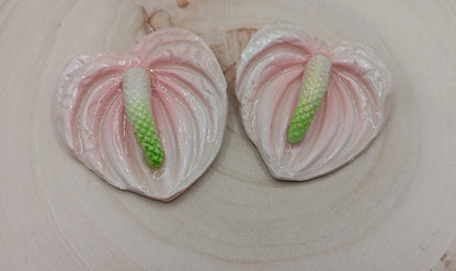Anthurium Lily (Light Pink)
