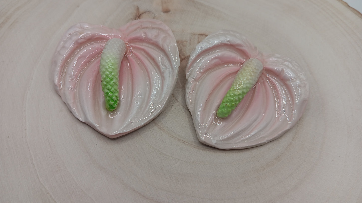 Anthurium Lily (Light Pink)