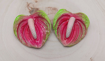 Anthurium Lily (Pink/Green)