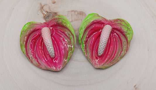 Anthurium Lily (Pink/Green)