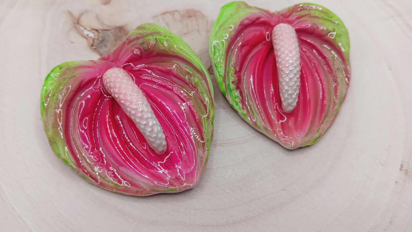 Anthurium Lily (Pink/Green)