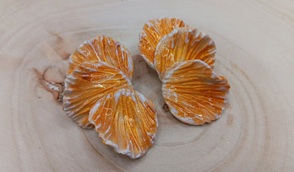 Calypso Petals (Monochromatic)