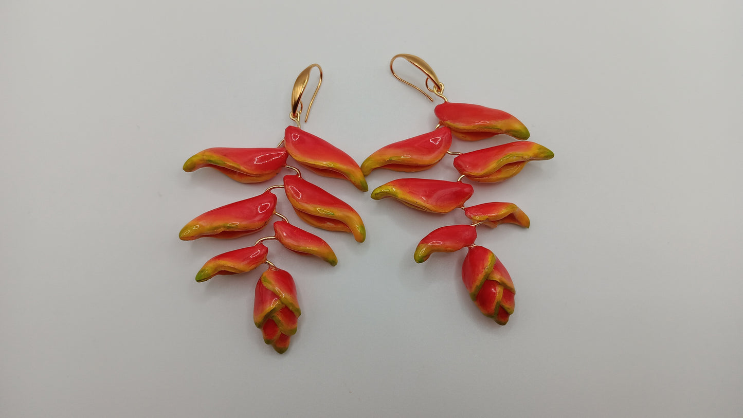 Heliconia PRE-ORDER