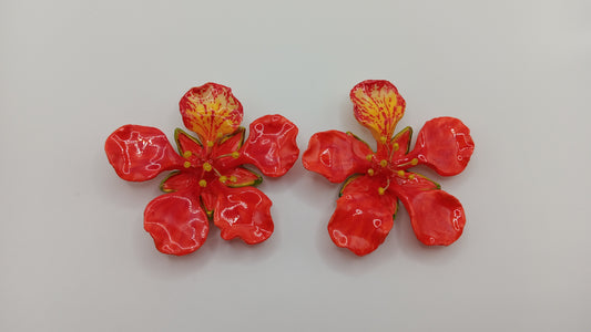 Royal Poinciana PRE-ORDER